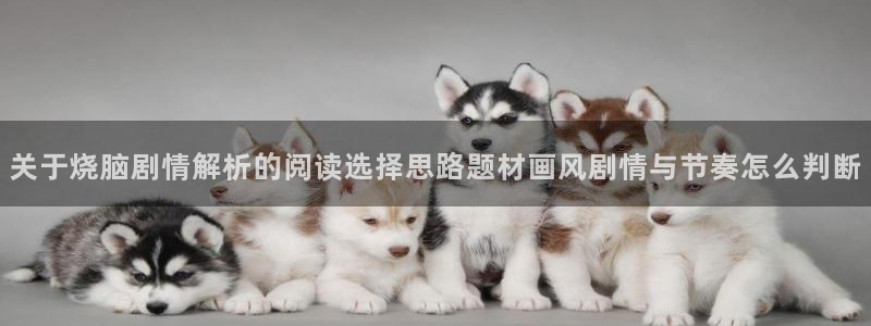 樱花日语教程大全
